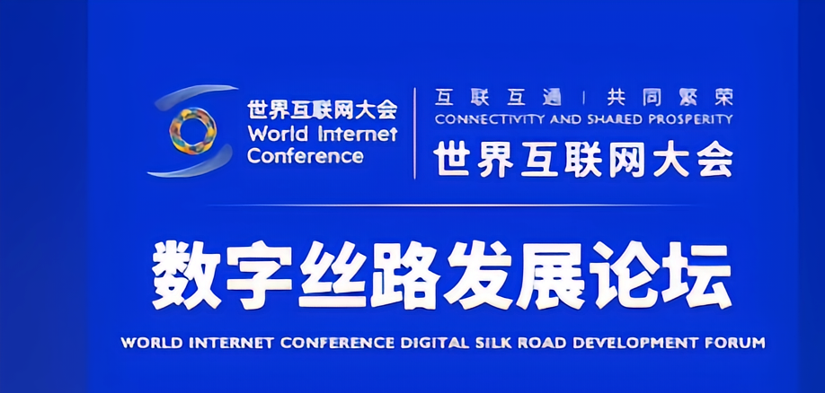 世界互联网大会数字丝路发展论坛